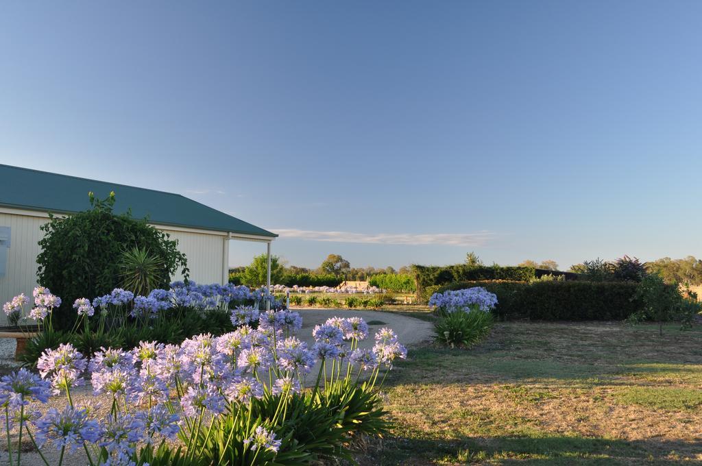 Milawa Muscat Retreat B&B Kültér fotó