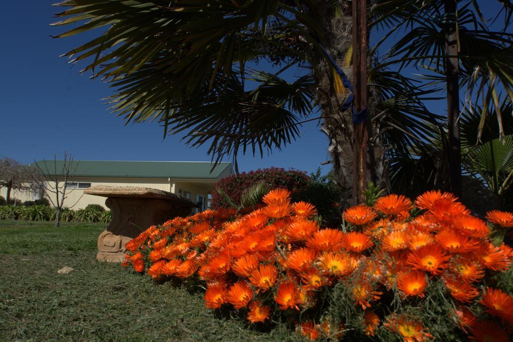 Milawa Muscat Retreat B&B Kültér fotó